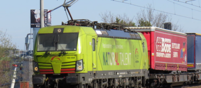 TXLogistik "TXL" "NATURAIL" - Sett für 1 TXL 193 559 H0
