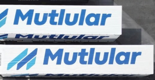 Mutlular Lojistik, Wechselbrücke 45″ +top H0 – Bild 3